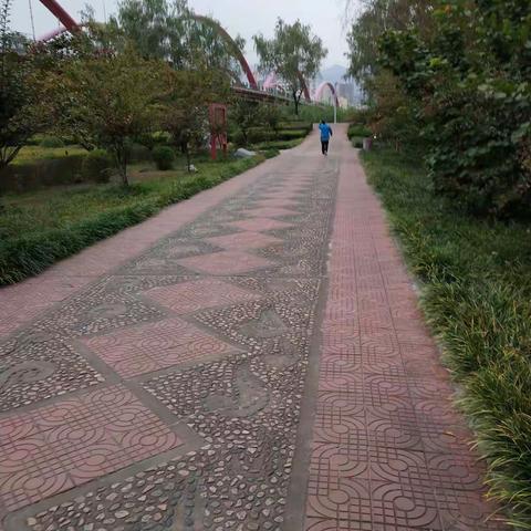 让阳光住在心底