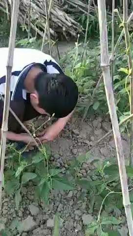 19班德育四项作业