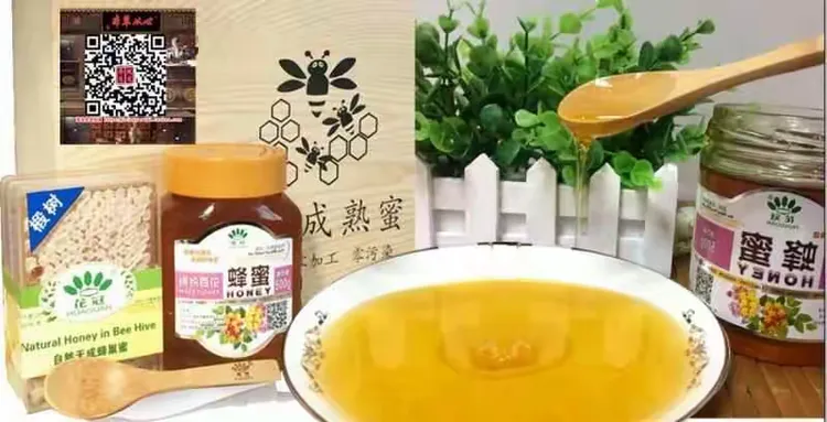 铁皮石斛苗多少钱一盆