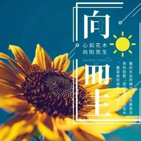 奋发“兔”强，一起向未来——七年级四班班级美篇