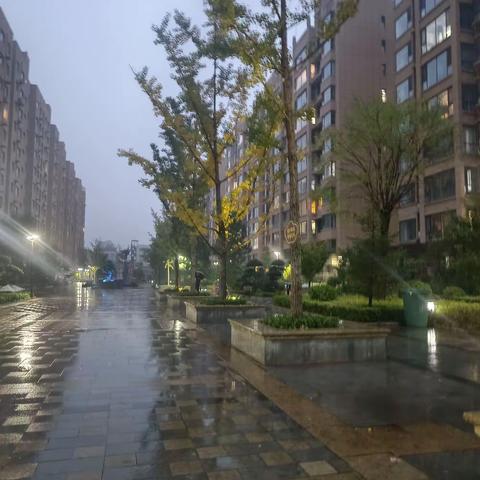 夜思秋雨