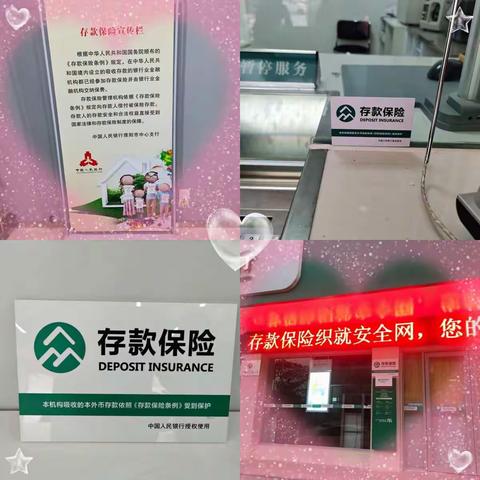 农行濮阳县支行存款保险宣传
