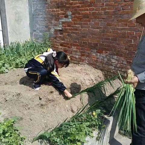 @曾爱的^0^那首歌^0^的美篇