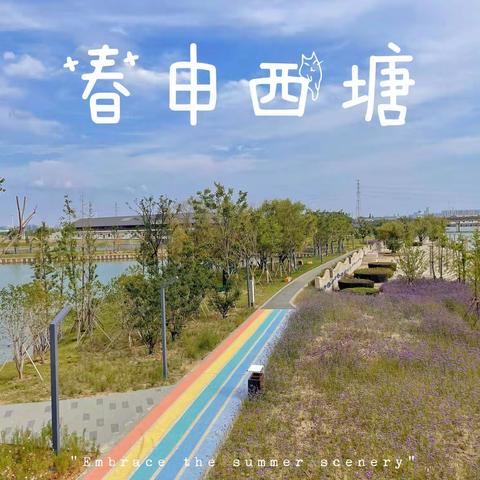 六月走园——实地考察