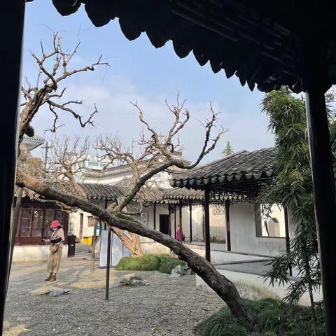 十一月走园——苏州怡园