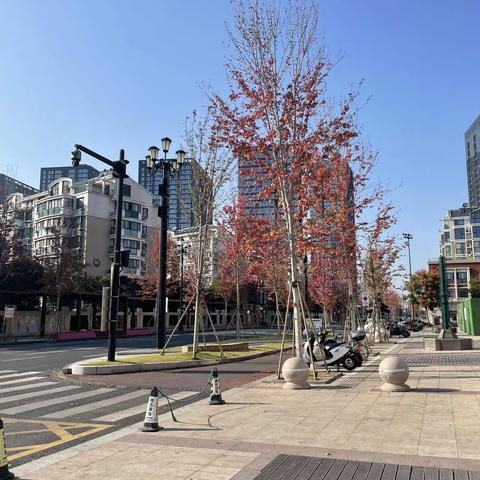 十一月走园——盐城戴庄路