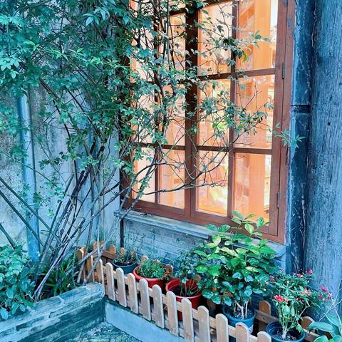 九月走园——平江路