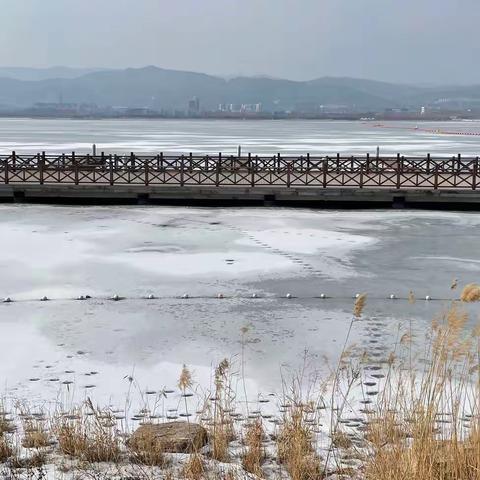 二月走园——太原晋阳湖公园