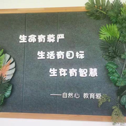 幼儿园参观学习