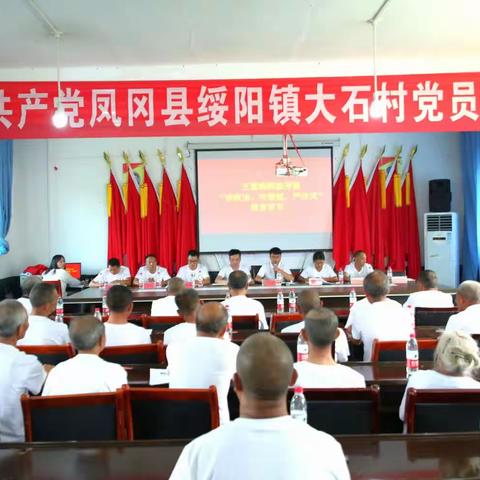 大石村党总支部开展“党建月”系列活动