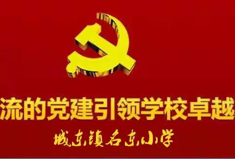 党建引领  创卫进行时