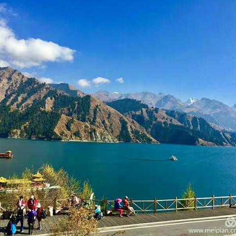 没柴乐，没米乐！阿弟说，饭吃不饱为什么不去吃面包🍞？