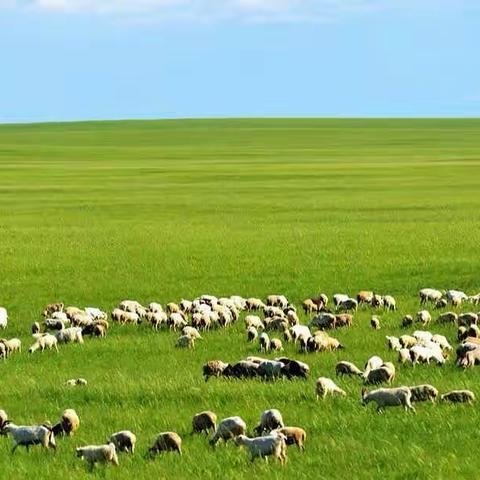 2019年初厦，哈尔滨-呼伦贝尔大草原游