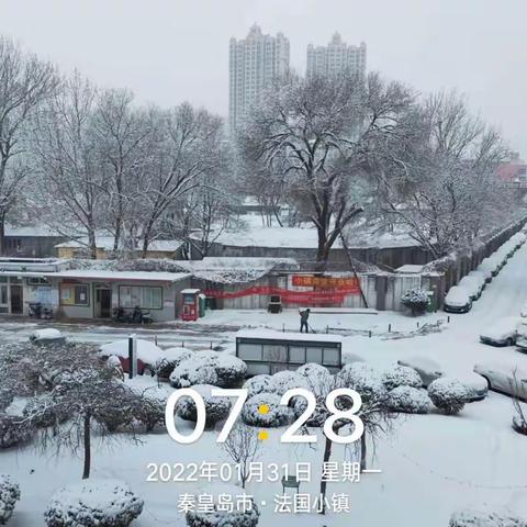 大雪银装迎瑞虎  物业清雪暖人心