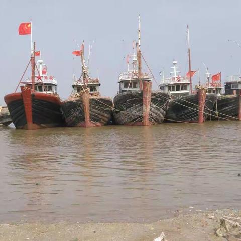 面对大海，心仪北海