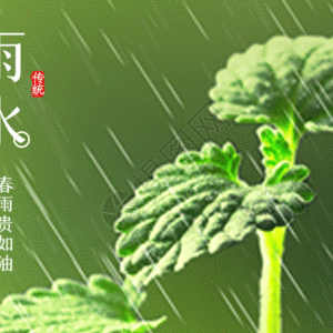 草木萌动，雨水归来——泊头市新华小学二十四节气综合实践活动之雨水