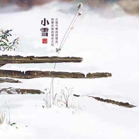 小雪天将寒，愿你三冬暖