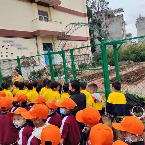 “走进小学、体验成长”——富民县爱尚幼儿园大班幼儿参观小学