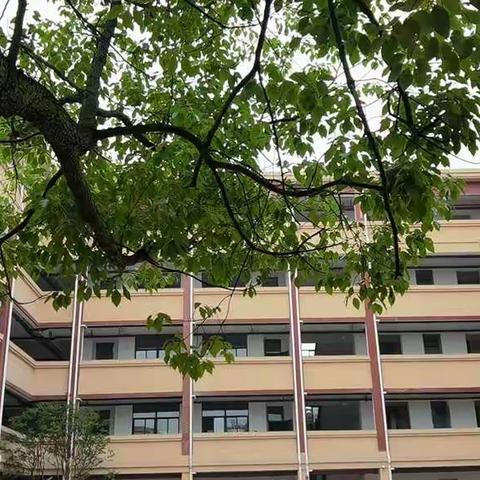 “梅园展风采 教研促成长”—昌硕学区送教活动(小学篇)