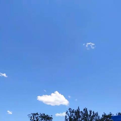 《走进自然之感恩生命》——马庄学区枣营学校德育新动态