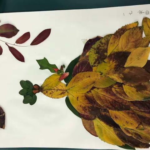 🌻青小向日葵之家的树叶粘贴画作品展示
