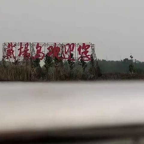 游骆马湖，访戴场岛