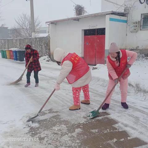 【孟庙镇】党建引领聚合力，清扫积雪暖民心