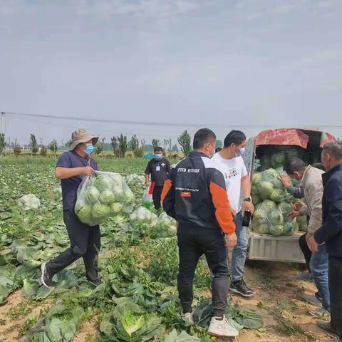 川汇区城北街道办事处多措并举助力农产品销售