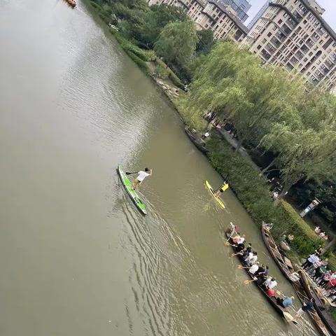 浓浓端午情 🍃🍃 悠悠艾草香🌿🌿一4班孝德作业