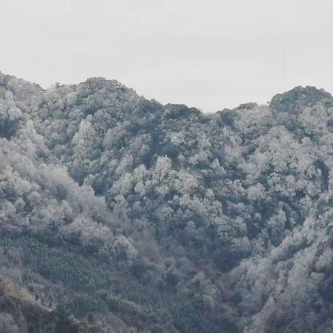 六言•《冬景》