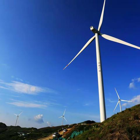 全达风车花海约起