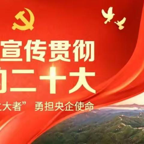 中国人寿克拉玛依石油分公司召开党委理论中心组（扩大）专题学习党的二十大精神