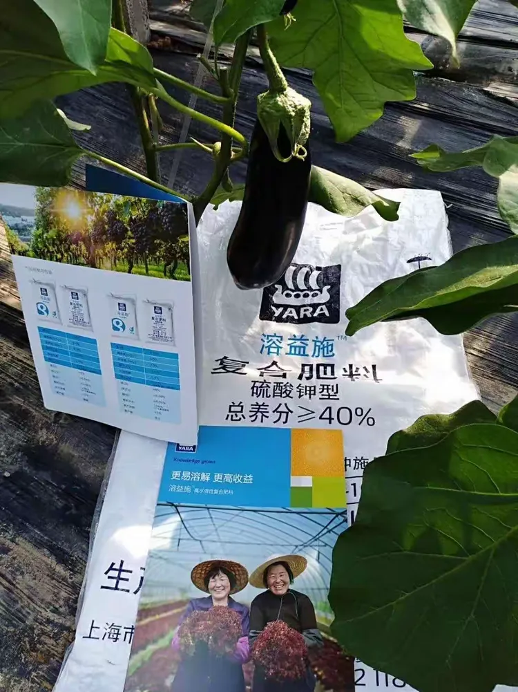 溶益施颗粒水溶肥在潍坊