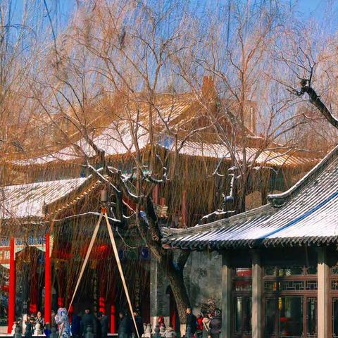 下雪天的济南最美