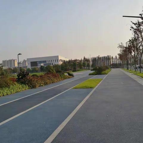 大渔湾公园一角