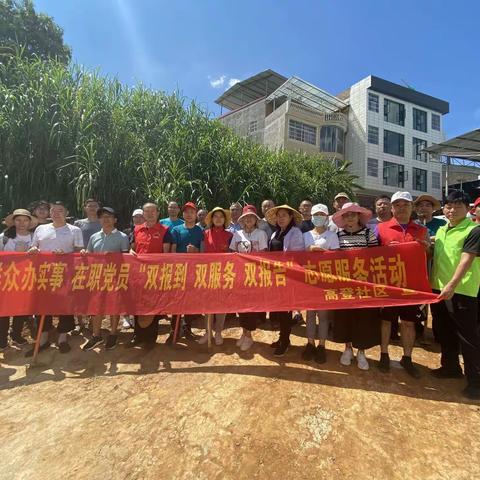 卧龙街道高登社区开展“我为创卫增绿添彩”植绿活动