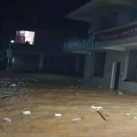 暴雨过后  卧龙街道高登社区积极开展灾后清扫