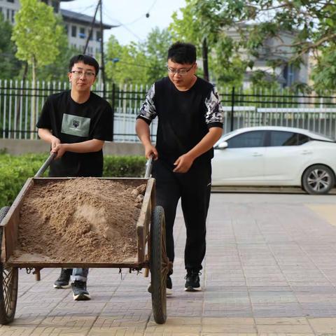 过“紧日子”在行动---人行吉县支行开展围墙修复工作