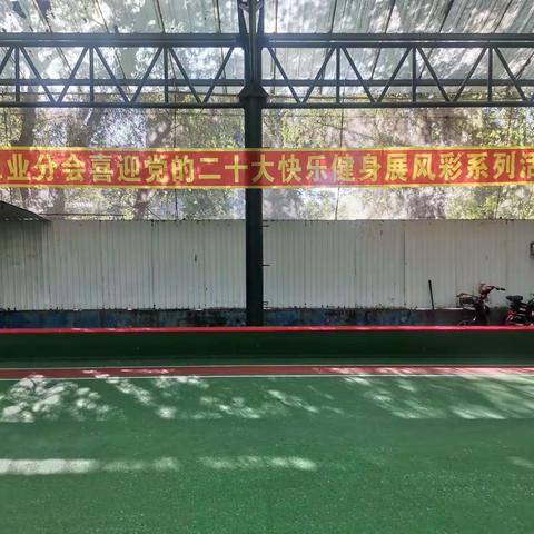 工业分公司老年门球赛