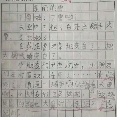 2019年第一场雪一定得记录一下。二年级小朋友的文笔有了进步！继续加油。