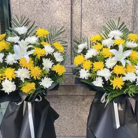 缅怀英烈，致敬最可爱的人——碱厂镇人民政府纪念抗美援朝胜利70周年