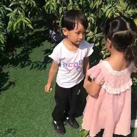 小博士幼儿园2019年9月中班主题活动《秋收的季节》