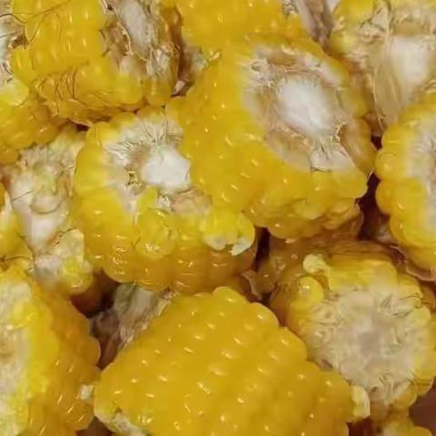 恩吉拉托育N2班