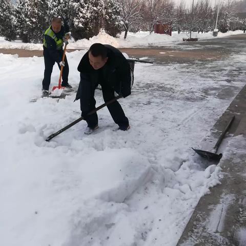 新年喜迎瑞雪     全员齐力保畅