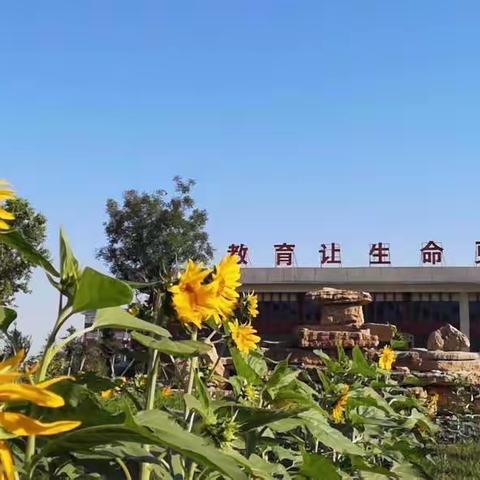 【精细化管理年】新乡县新时代学校特色课堂—美书篇（8）