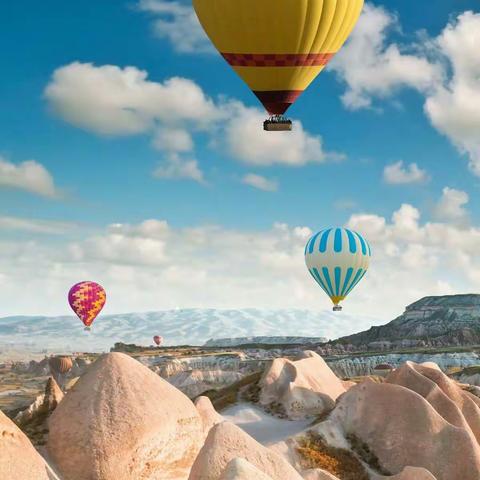 祝戴言小朋友生日快乐！茁壮成长！