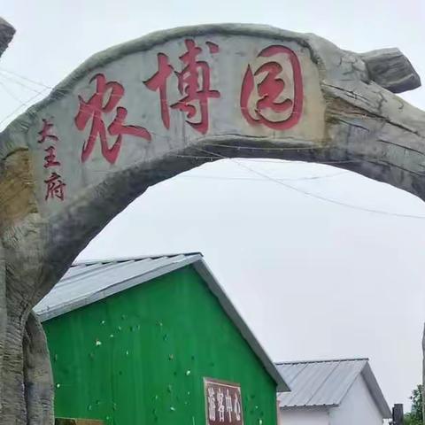 大王府研学实践教育活动     红心小学六（3）