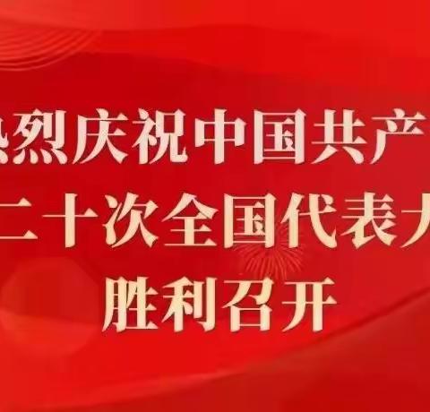 【实干兴业 筑梦白王】盛世迎盛会 共赴新征程——白王乡以实际行动欢庆二十大胜利召开