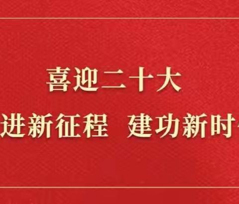 【实干兴业 筑梦白王】多点着力 精准发力 全力推动各项工作见行见效