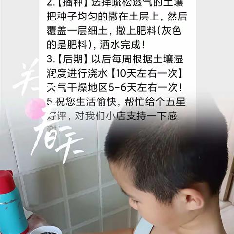 《不负春日好时光》·我要的是草莓